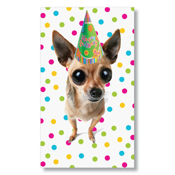 chihuahua-birthday-cards