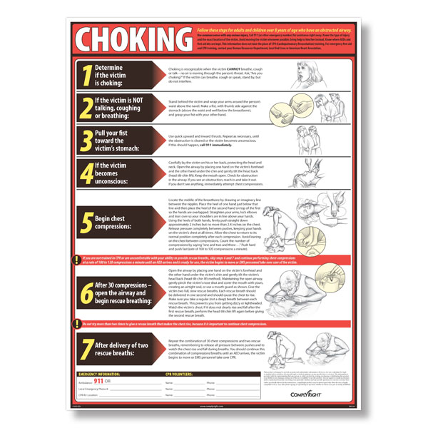 Choking Poster Safety Posters